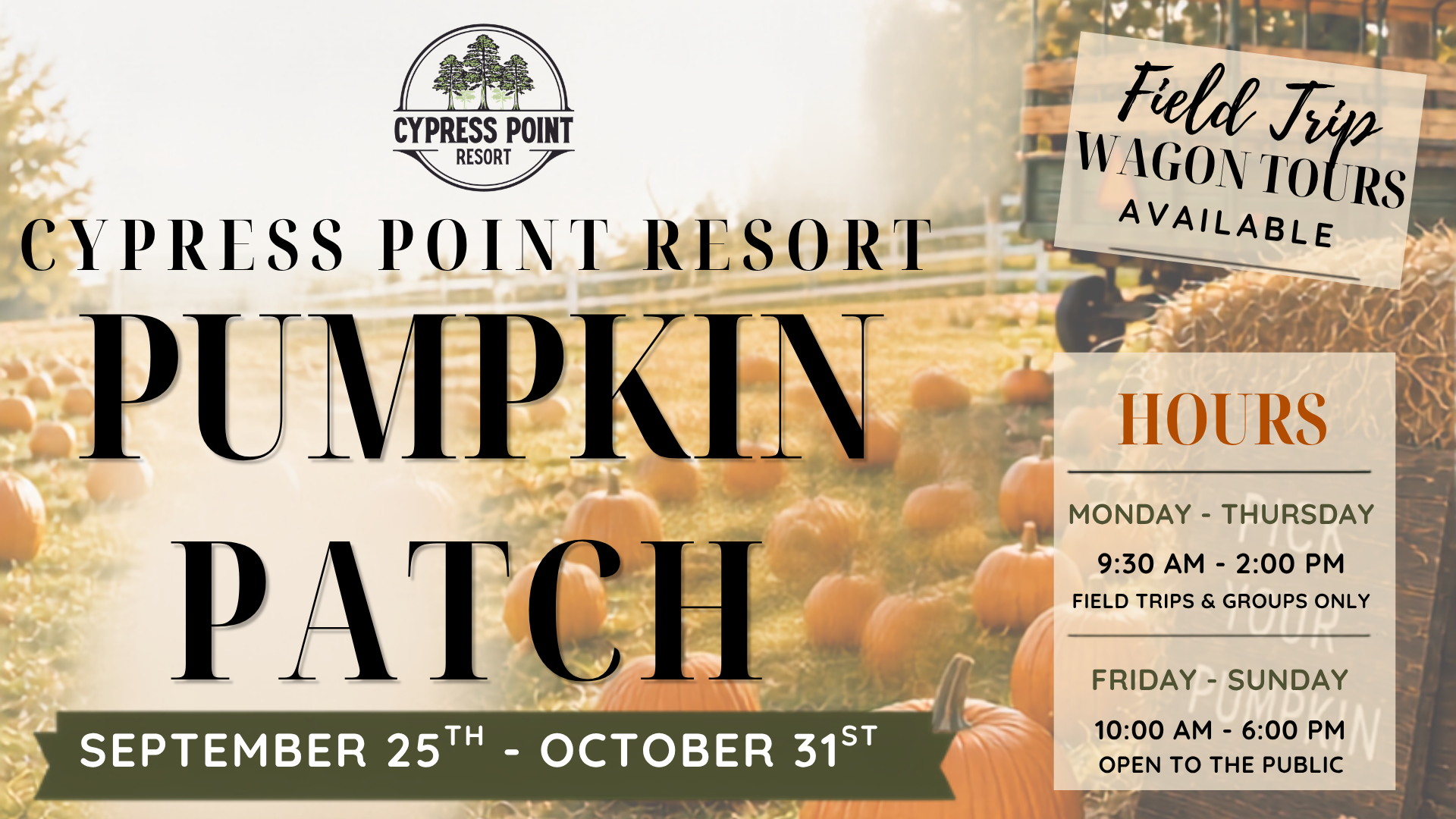Pumpkin Patch Billboard (1920 x 1080 px)